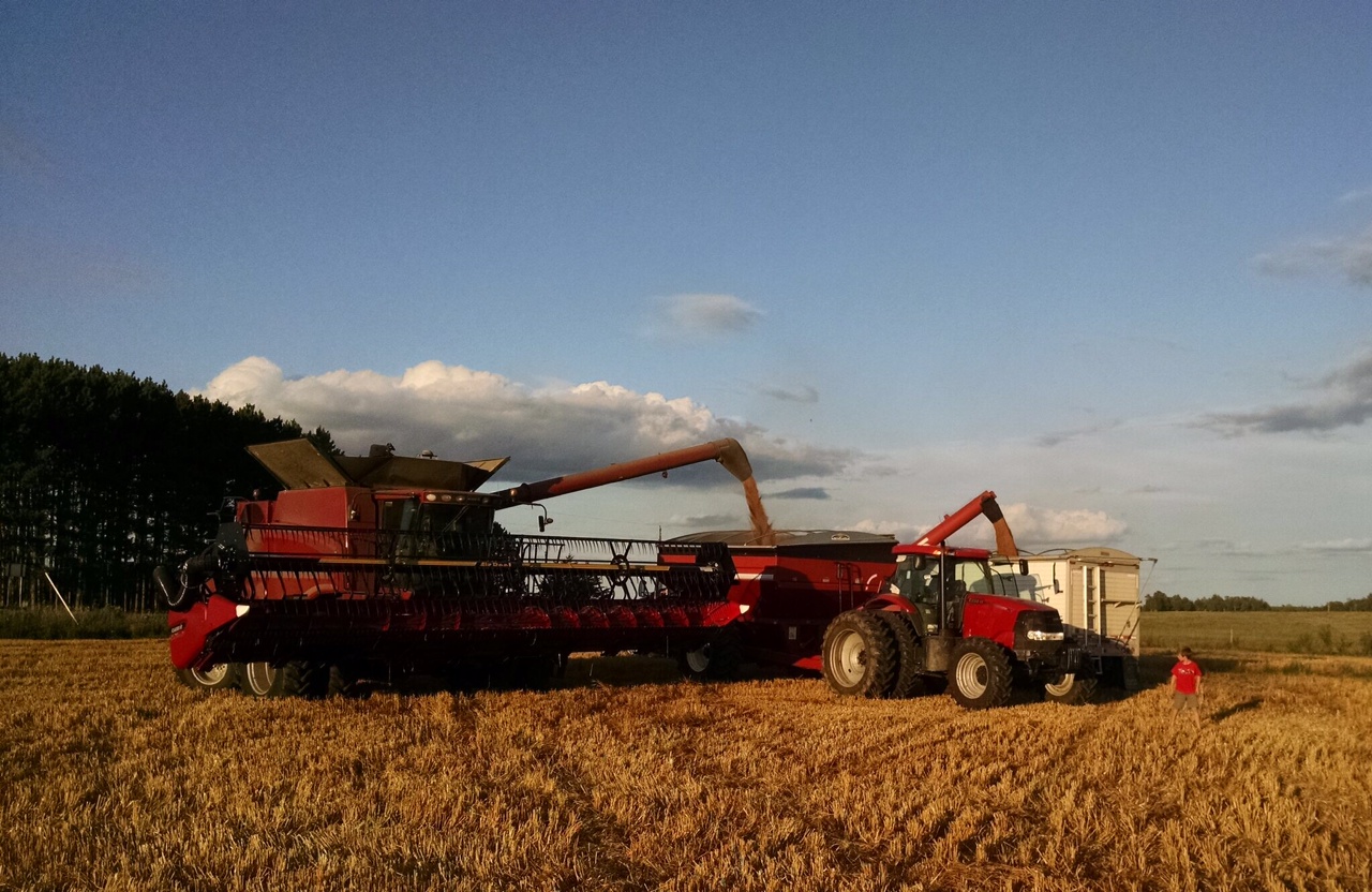 Rudnicki Tractor Ranch Inventory