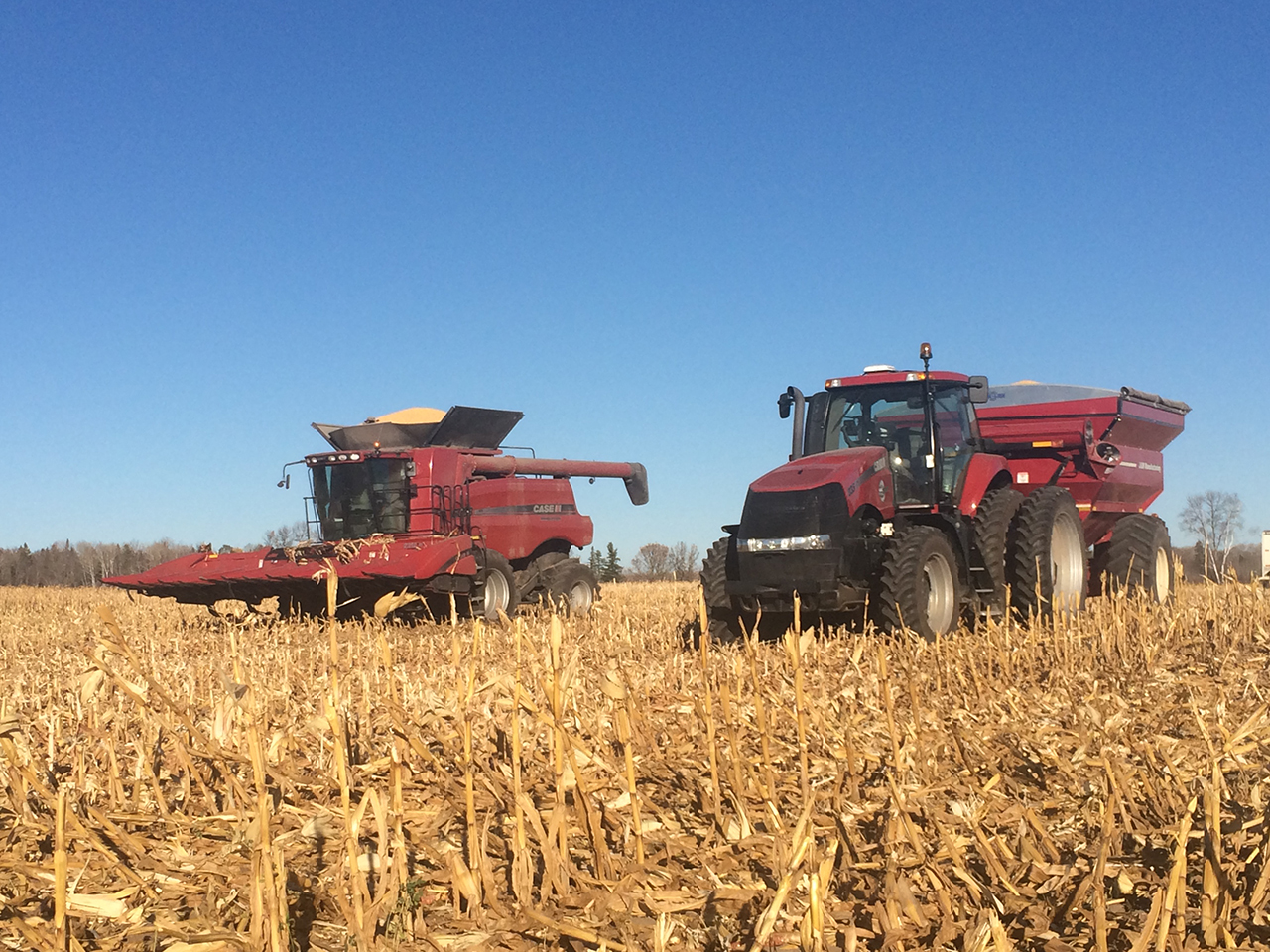 Case Harvesters in Action